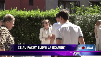 Ce au făcut elevii la examen?