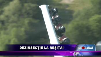 Dezinsecție la Reșița