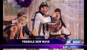 Premiile New Wave