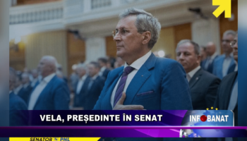 Vela, președinte în Senat