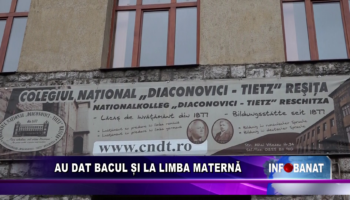 Au dat bacul și la limba maternă