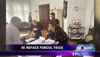 Se reface Parcul Teiuș