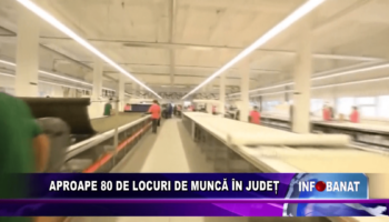 Aproape 80 de locuri de muncă în județ