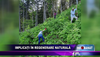 Implicați în regenerare naturală