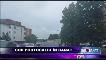 Cod portocaliu în Banat