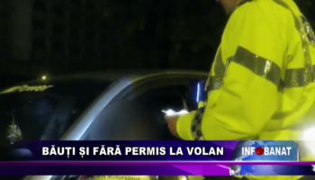 Băuți și fără permis la volan