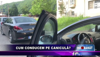 Cum conducem pe caniculă?