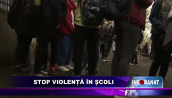 Stop violență în școli