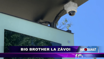 Big Brother la Zăvoi