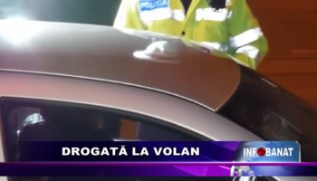 Drogată la volan