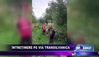 Întreținere pe Via Transilvanica