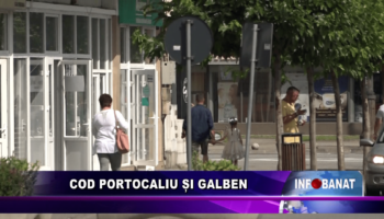 Cod portocaliu și galben