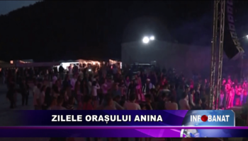 Zilele orașului Anina