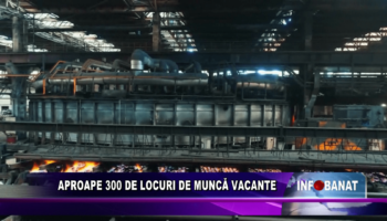 Aproape 300 de locuri de muncă vacante