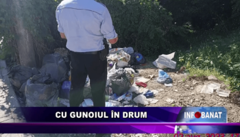 Cu gunoiul în drum