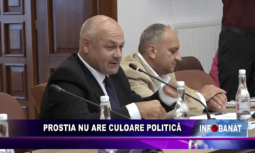 Prostia nu are culoare politică