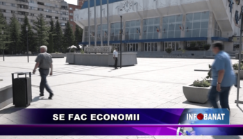 Se fac economii