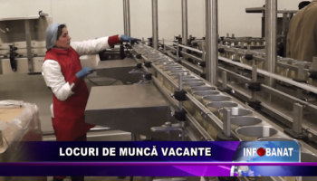 Locuri de muncă vacante