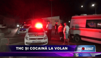 THC și cocaină la volan