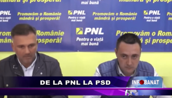 De la PNL la PSD