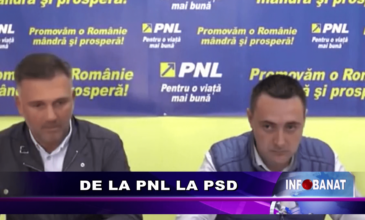 De la PNL la PSD