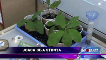 Joaca de-a știința