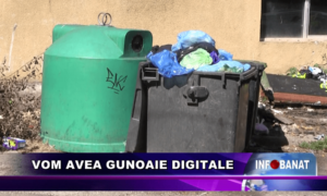 Vom avea gunoaie digitale