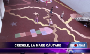 Creșele, la mare căutare
