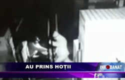 Au prins hoții