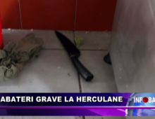 Abateri grave la Herculane