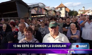 13 nu este cu ghinion la gugulani