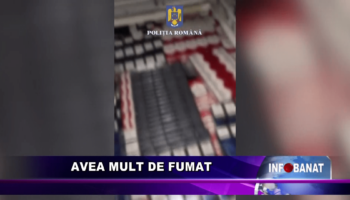 Avea mult de fumat