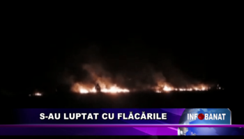 S-au luptat cu flăcările