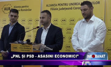 „PNL și PSD –  asasini economici”