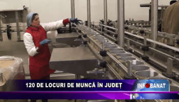 120 de locuri de muncă în județ