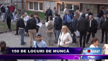 150 de locuri de muncă