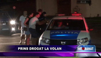 Prins drogat la volan