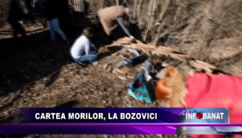 Cartea Morilor, la Bozovici