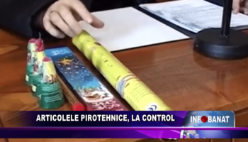 Articolele pirotehnice, la control