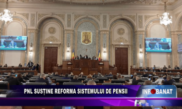 PNL susțtine reforma sistemului de pensii