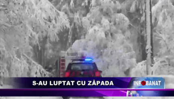 S-au luptat cu zăpada