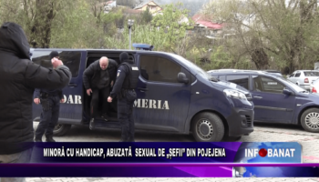 Minoră cu handicap, abuzată sexual de „șefii” din Pojejena