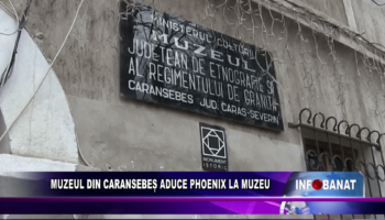 Muzeul din Caransebeș aduce Phoenix la muzeu