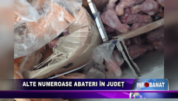 Alte numeroase abateri în județ