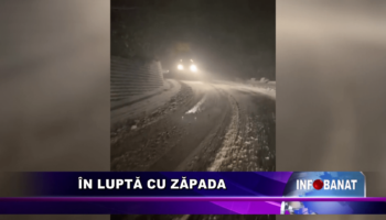 În luptă cu zăpada