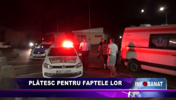 Plătesc pentru faptele lor