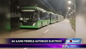 Au ajuns primele autobuze electrice