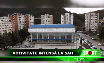 Activitate intensă la șah