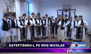 Așteptându-l pe Moș Nicolae