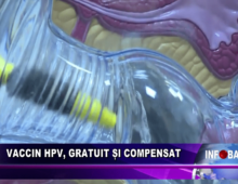 Vaccin HPV, gratuit si compensat